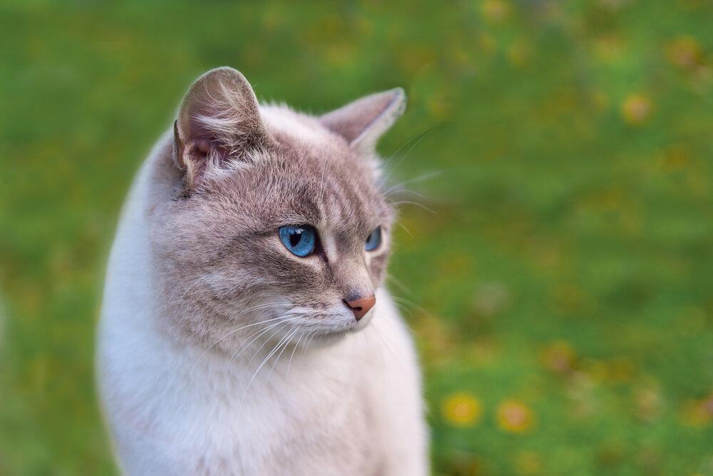 Photograph by Николай Швалюк