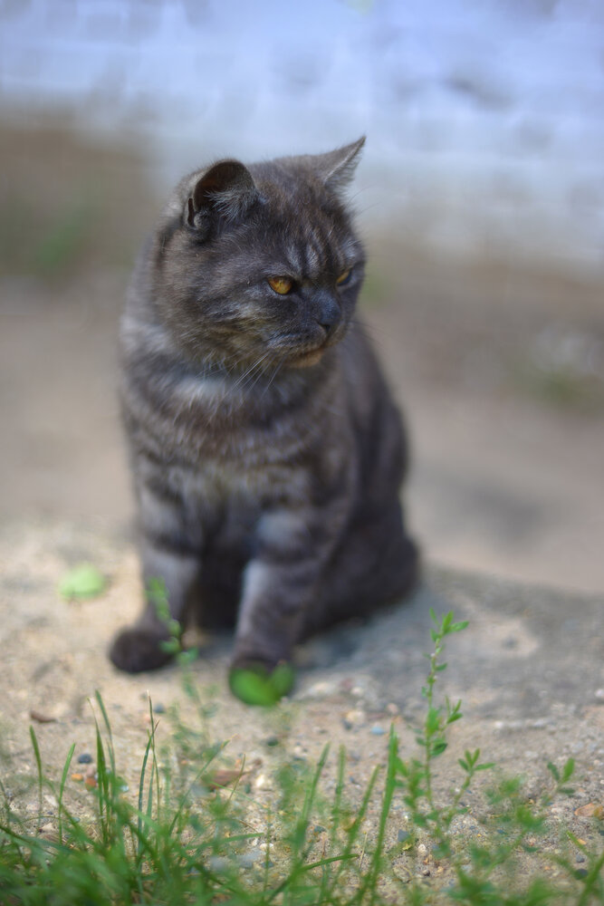 Photograph by Екатерина Валиуллина