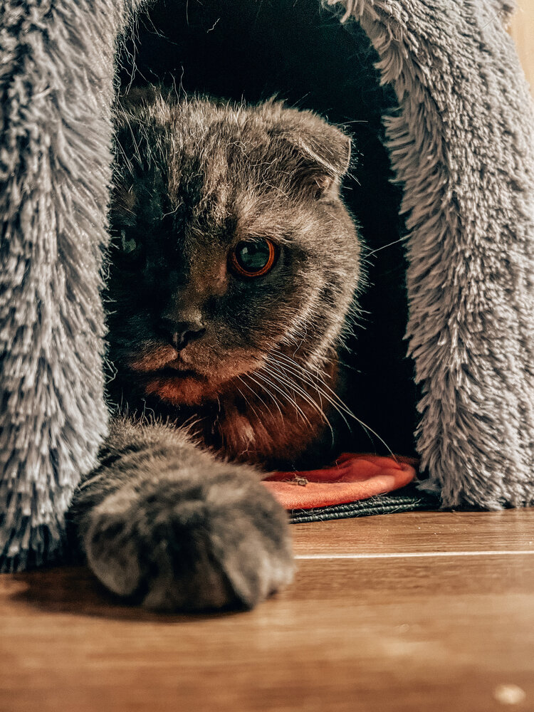 Photograph by Вячеслав Александров