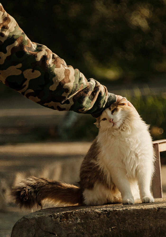 Photograph by Ирина Регульская