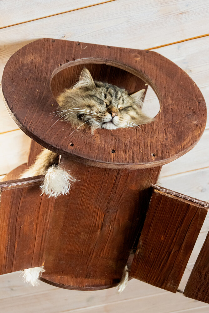 Photograph by Александр Порохов