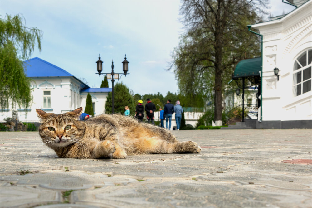 Photograph by Александр Порохов
