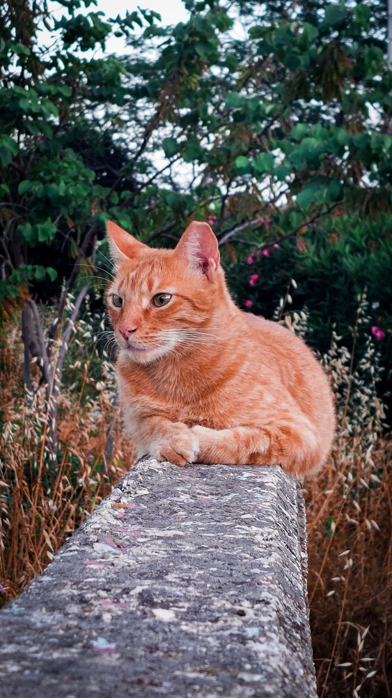 Photograph by Marharyta Khodas