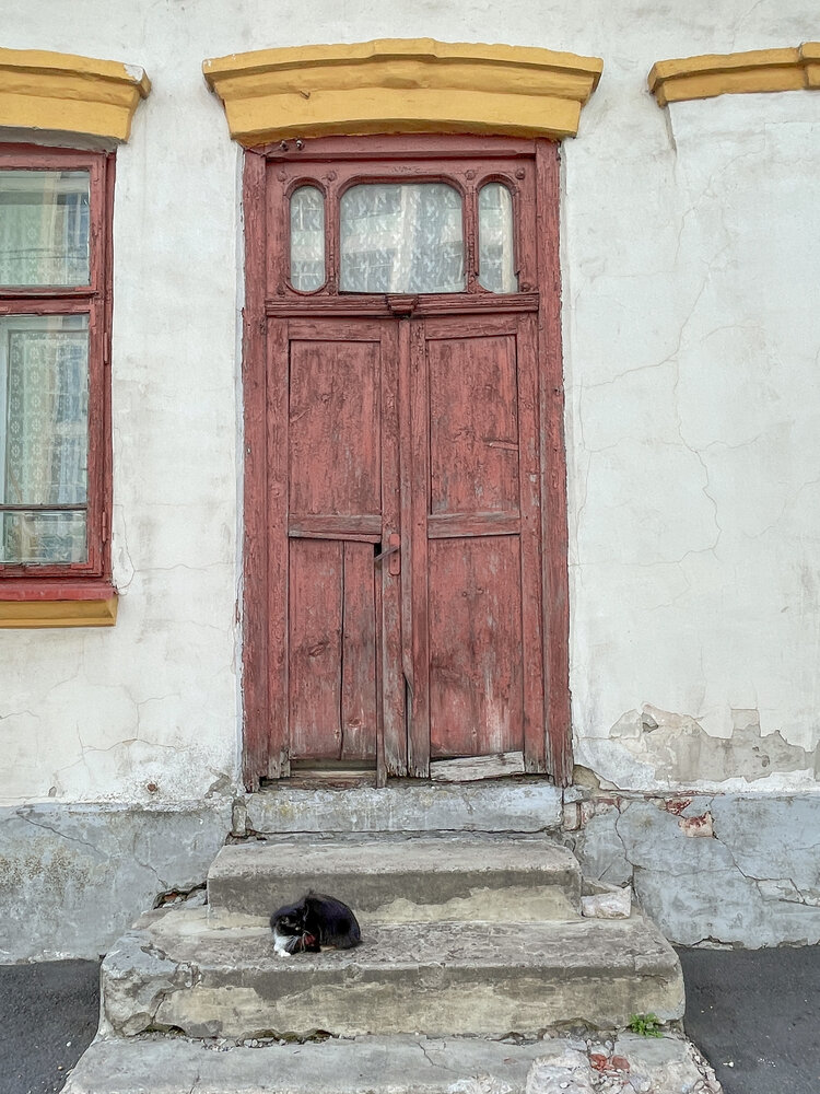 Photograph by Светлана Савина