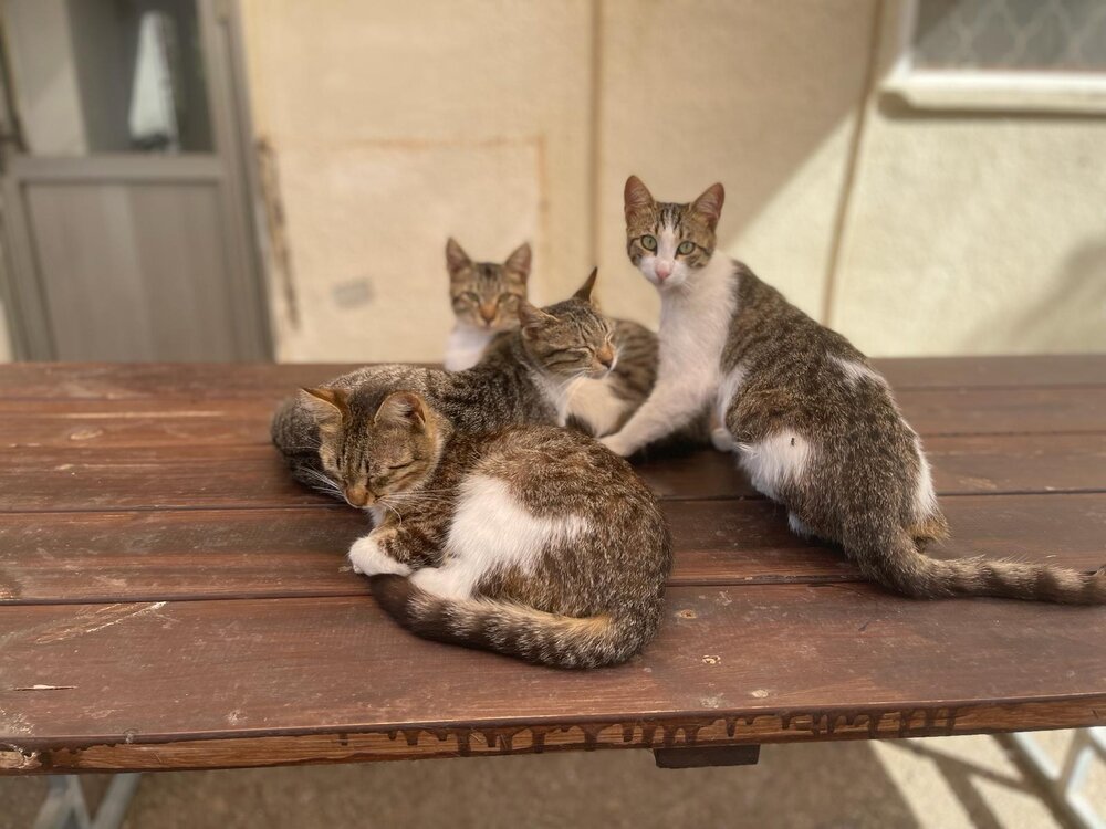 Photograph by Marharyta Khodas