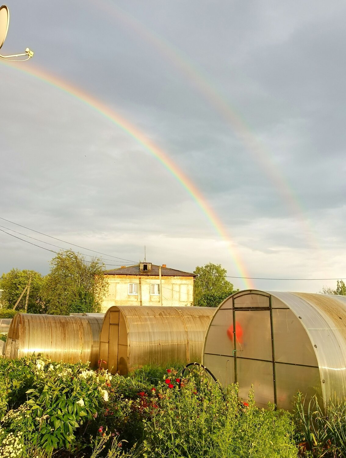 Photo #14060464