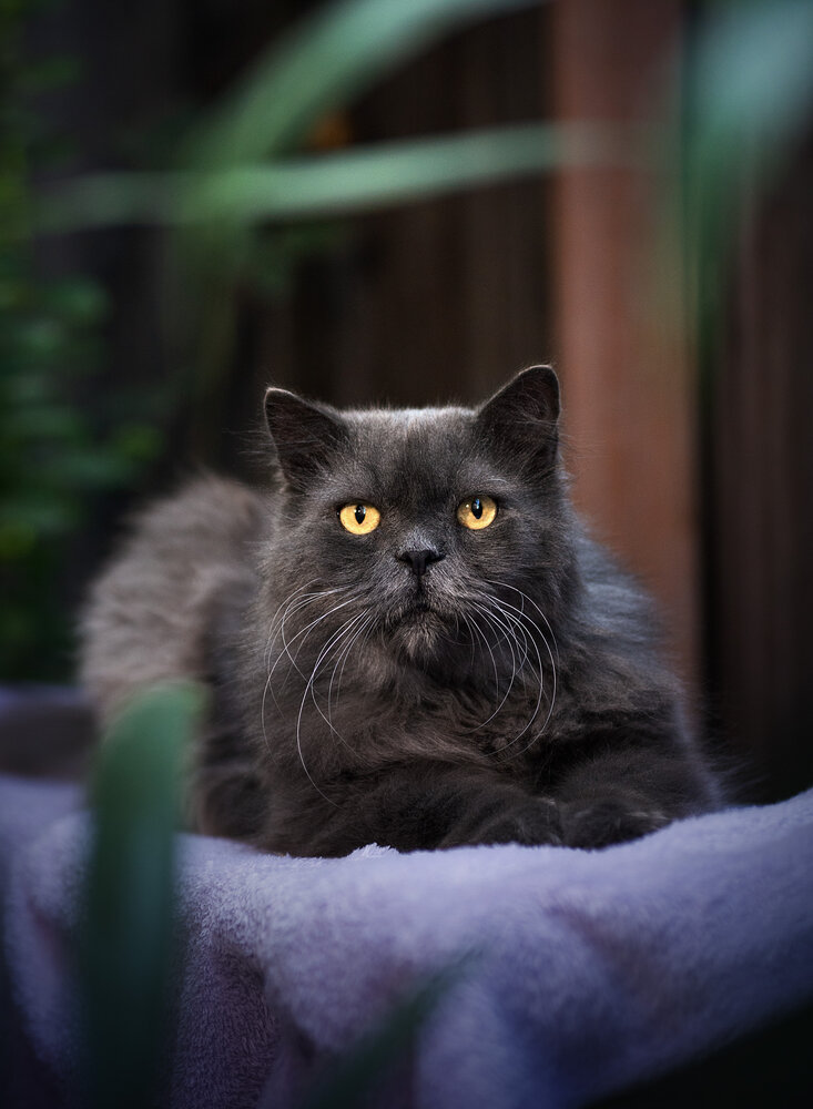 Photograph by Юлия Григорьева