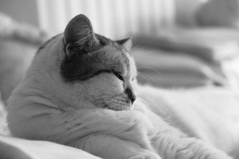Photograph by Роман Гладкий