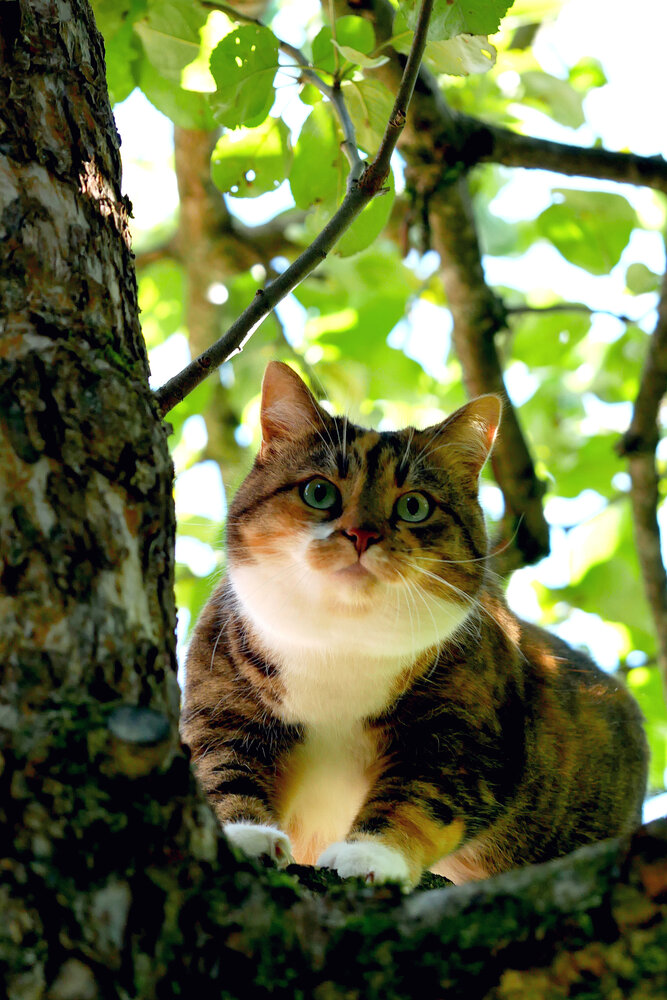Photograph by Наталья Лобанова
