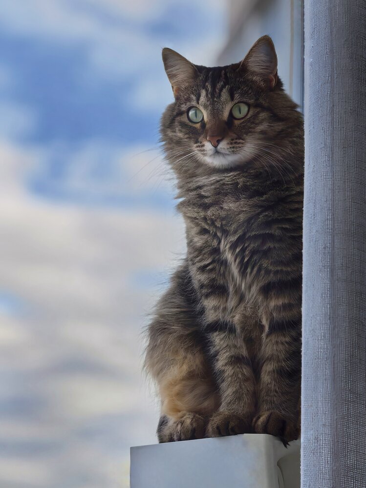 Photograph by Людмила Лебедева