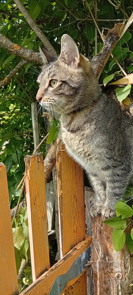 Photo #14060664
