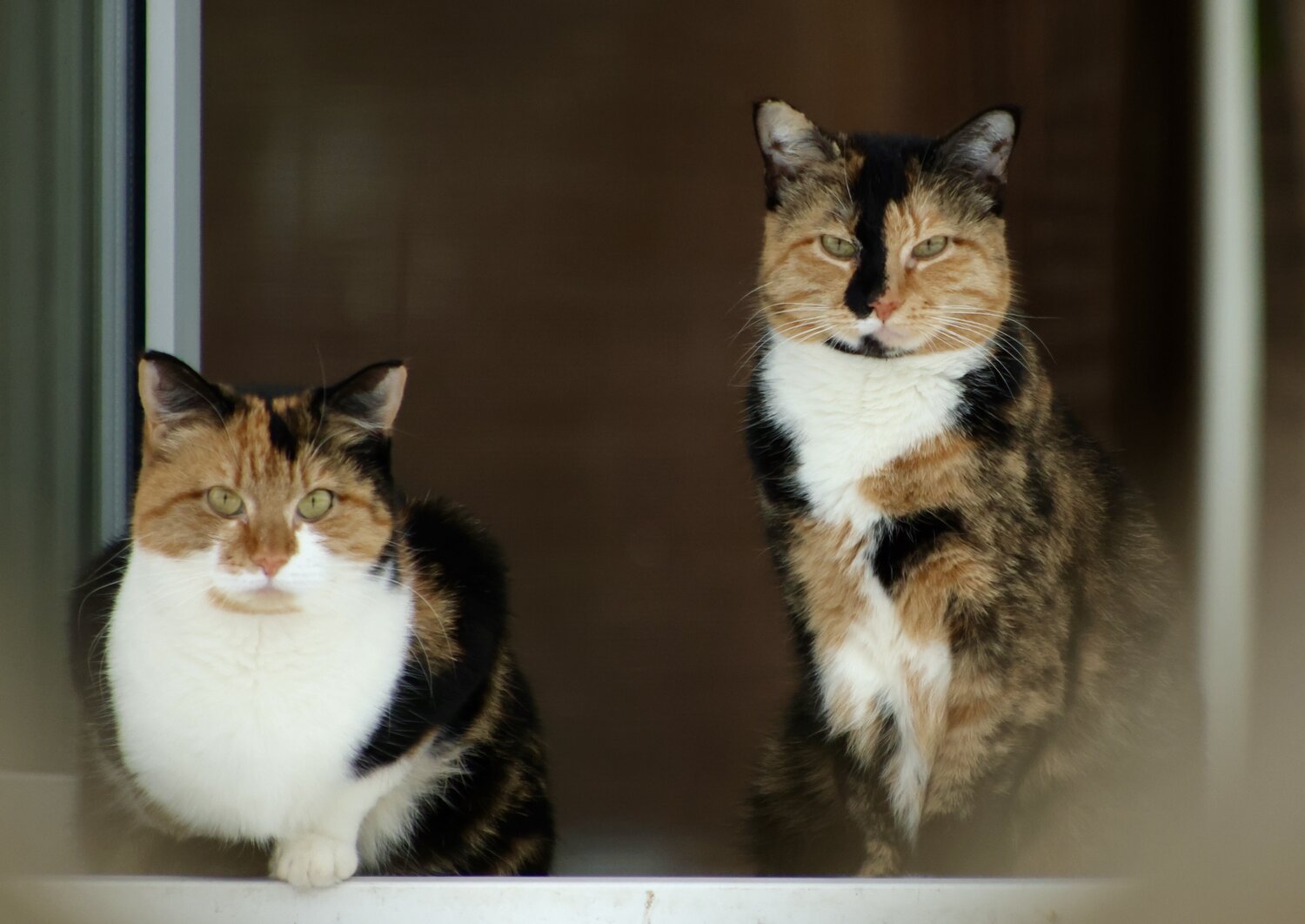 Photo #14060752