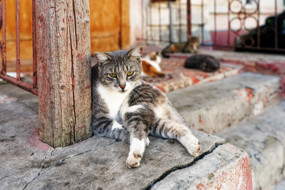 Photograph by Ян