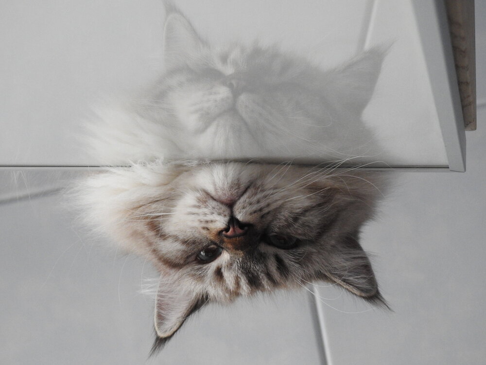 Photograph by Римма Большакова