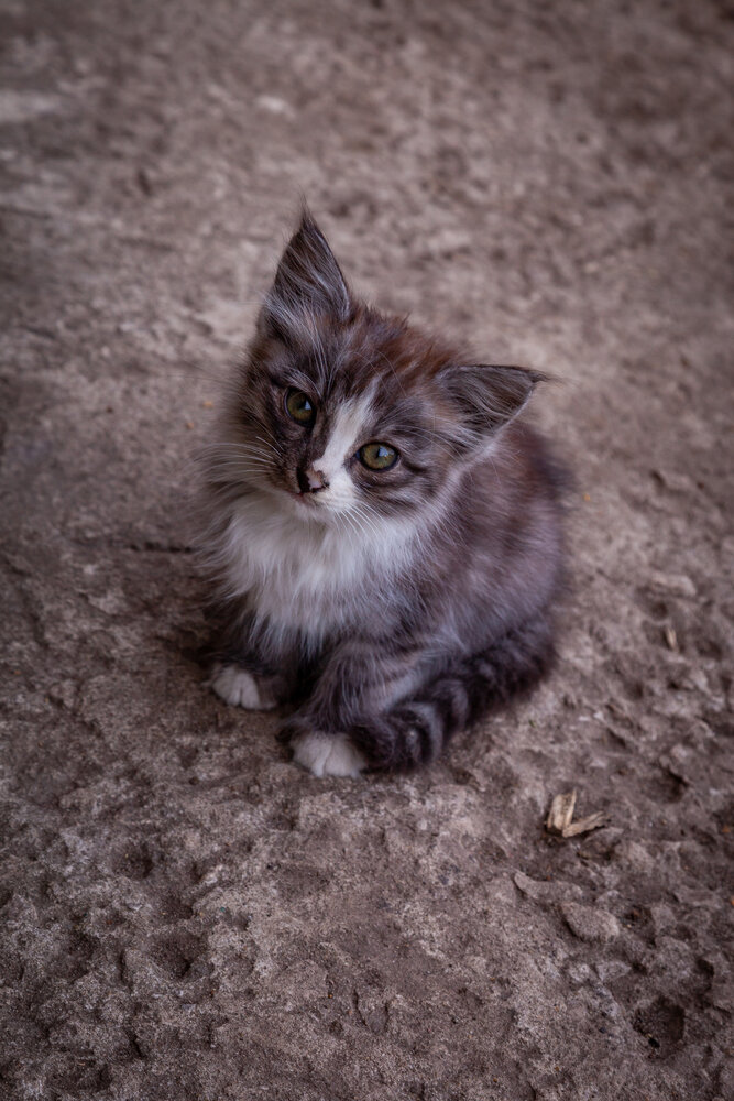 Photograph by Владислав Лопатов