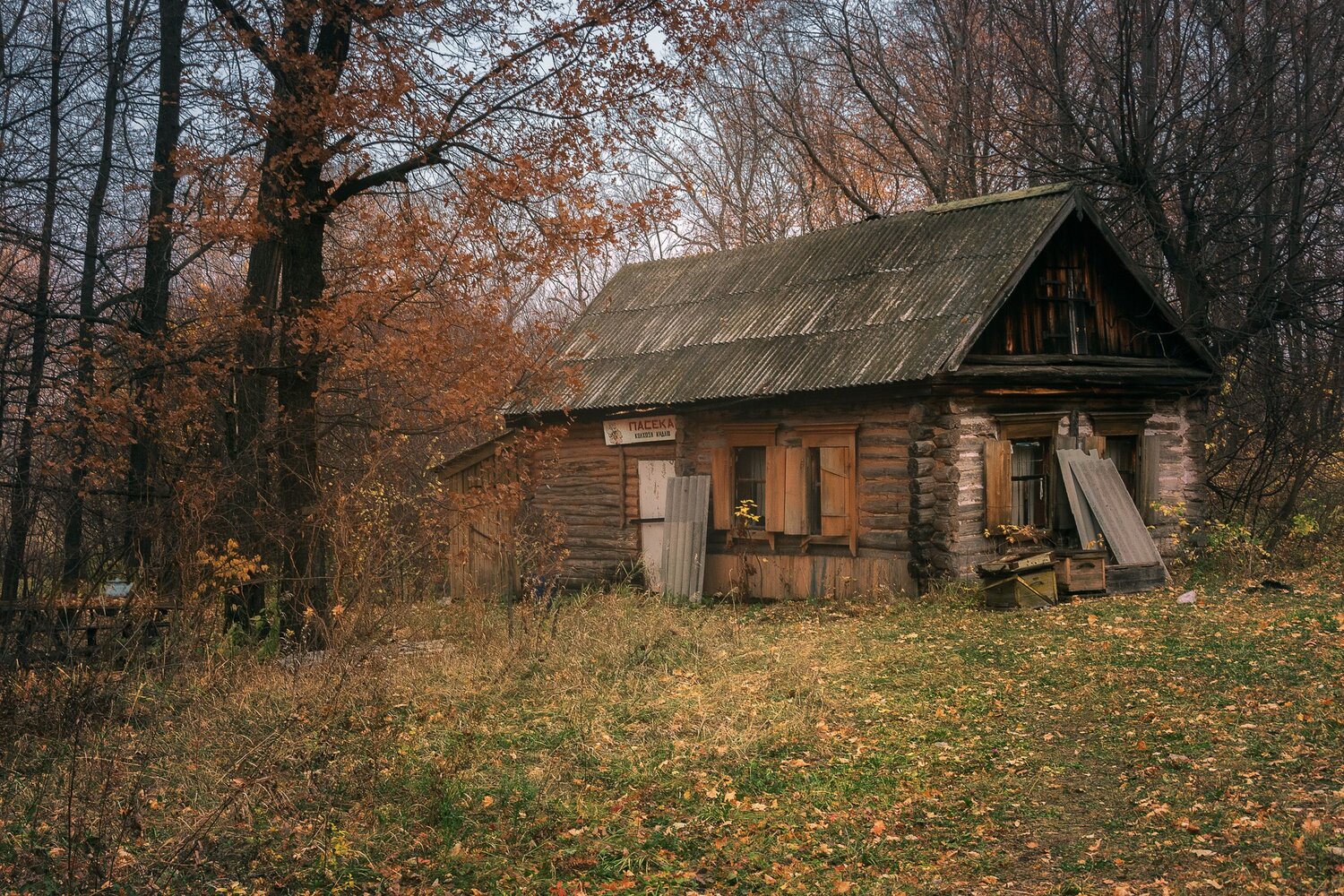 Photo #14060895