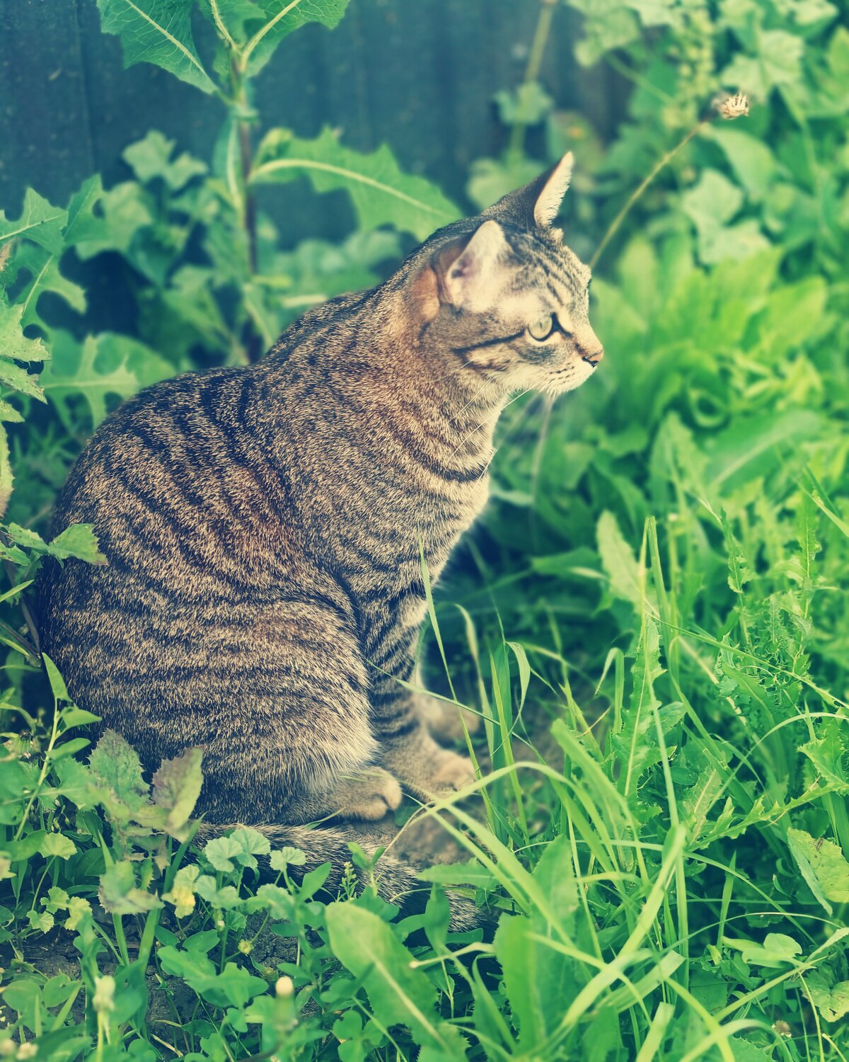 Photo #14060919
