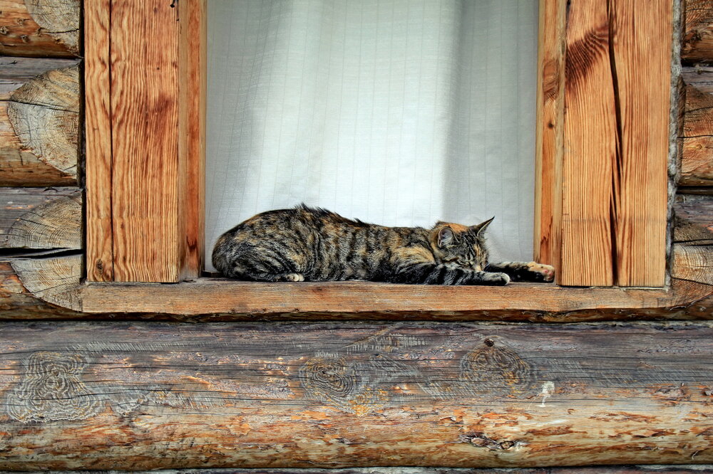 Photograph by Станислав Староверов