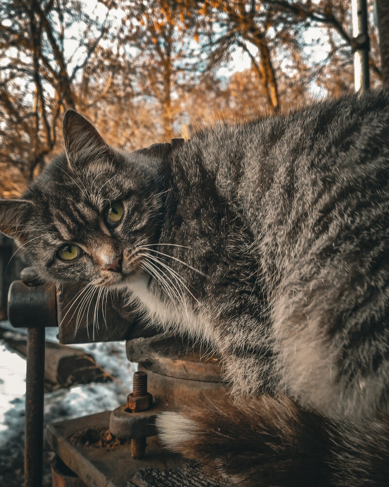 Photograph by Игорь Медведев