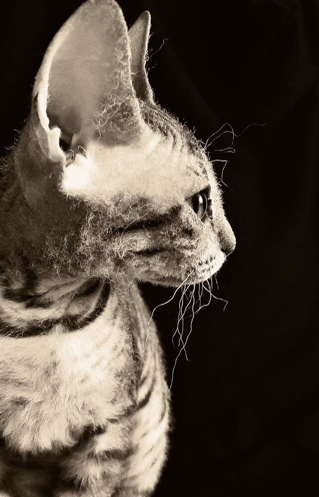 Серафима.