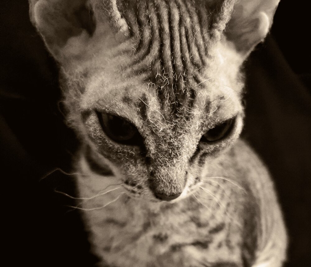 Серафима.