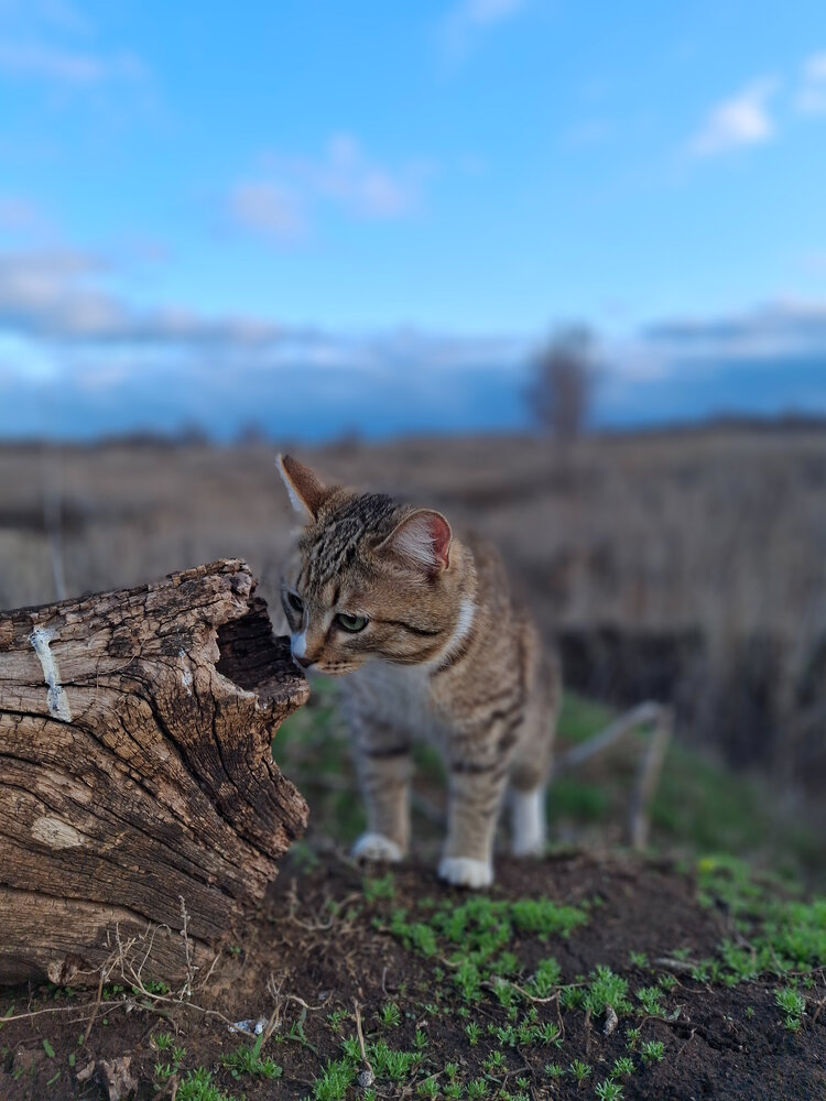 Фотография автора Марина Мальцева