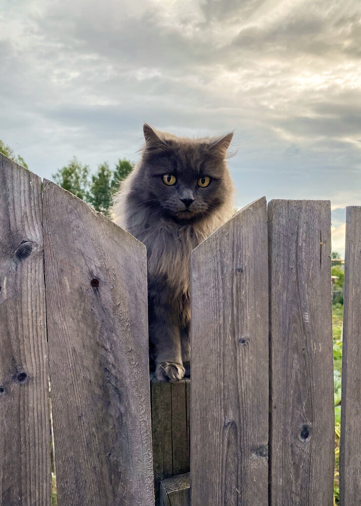 Photograph by Ирина Утробина