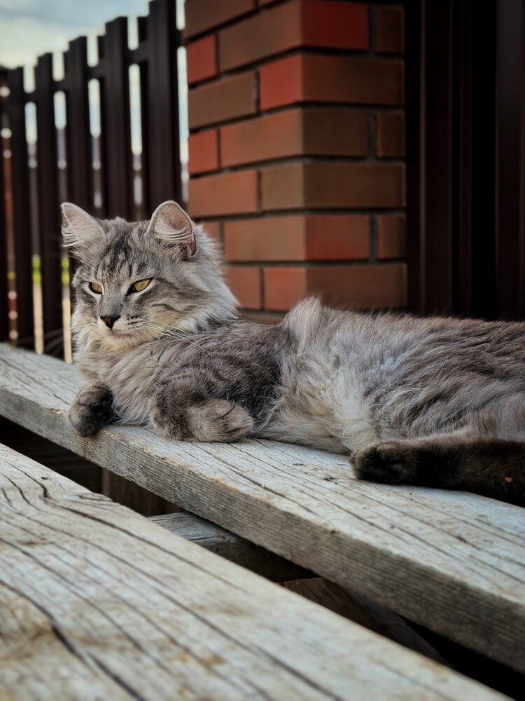Photograph by Ленара Чекмарева