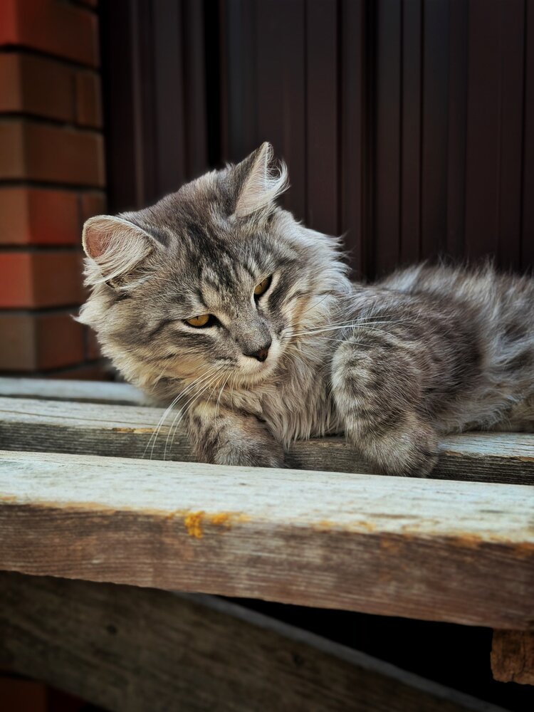 Photograph by Ленара Чекмарева