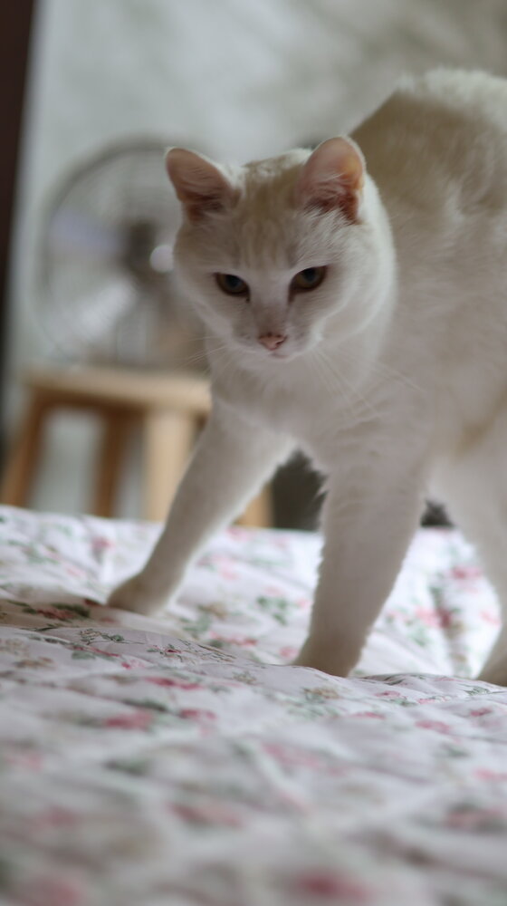 Photograph by Ирина Жукова