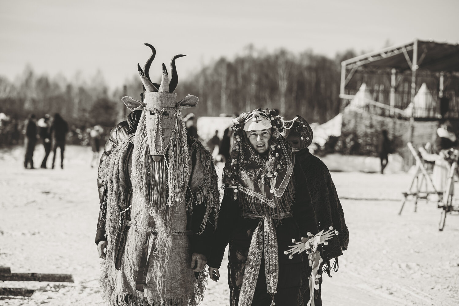 Photo #14061263