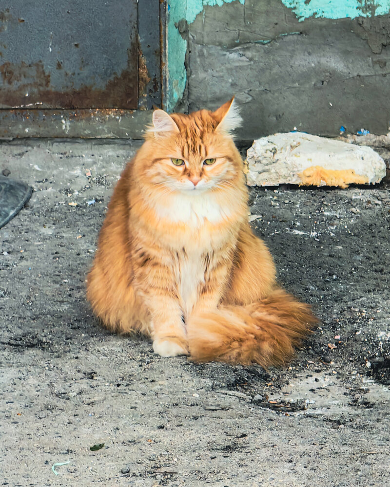 Photograph by Алексей Гуминский