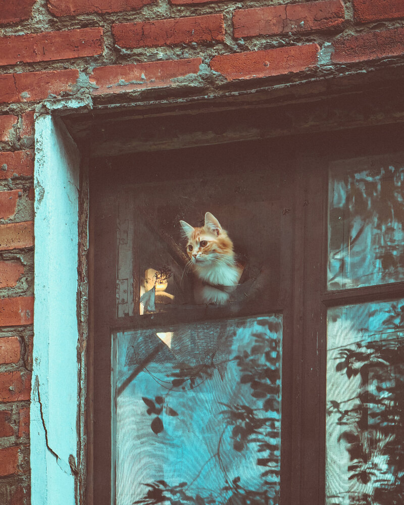 Photograph by Алексей Гуминский