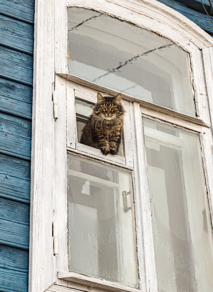 Photograph by Елена Третьякова