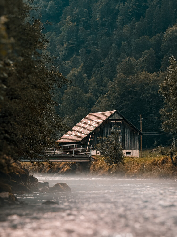 Photo #14061450