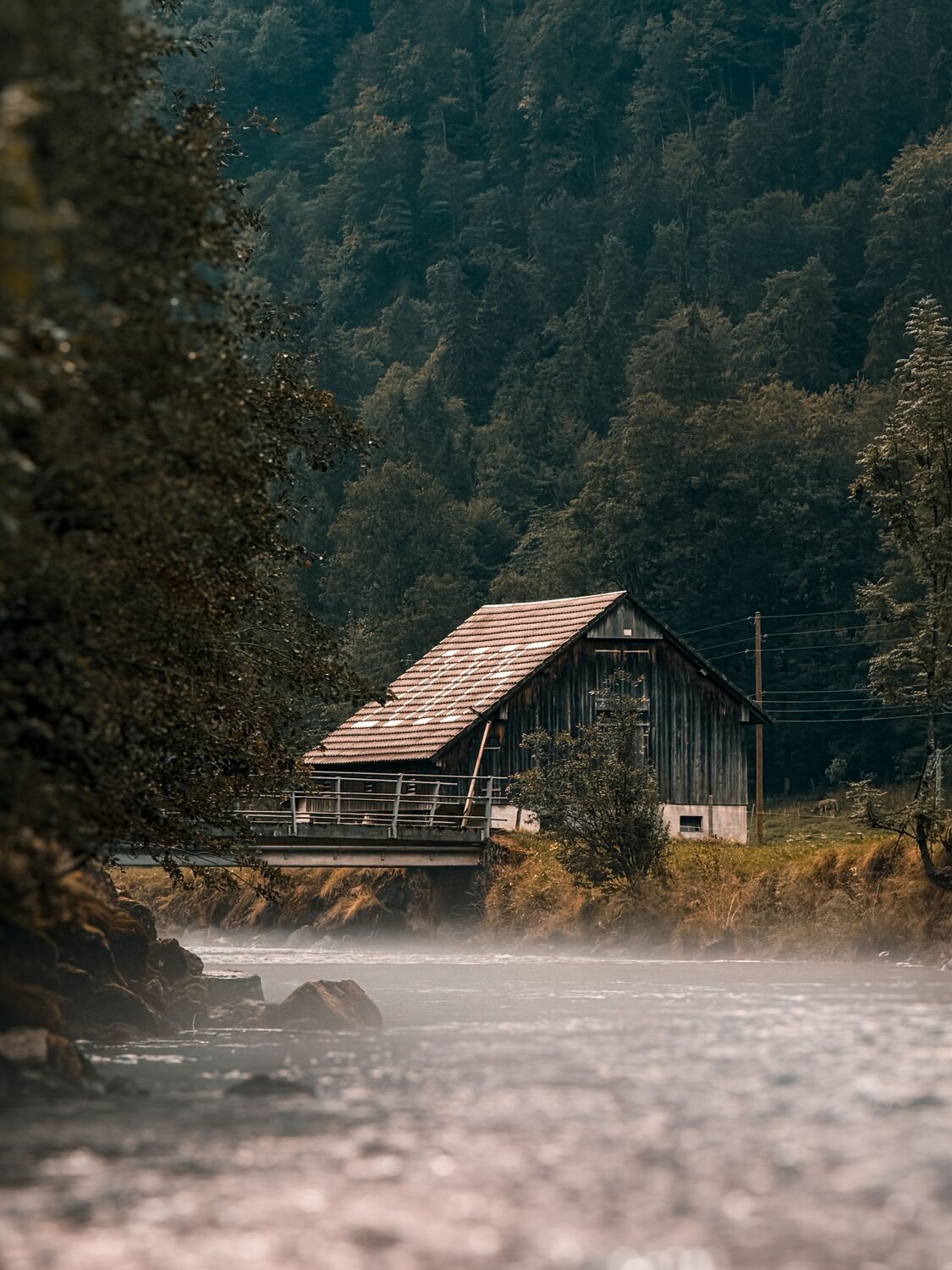 Photo #14061450