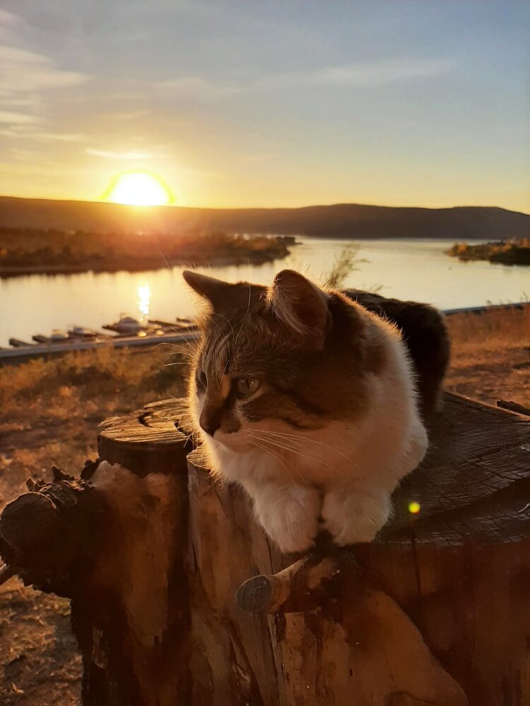 Photograph by Olga Semenycheva