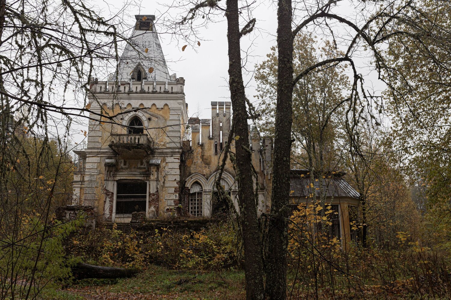 Photo #14061469