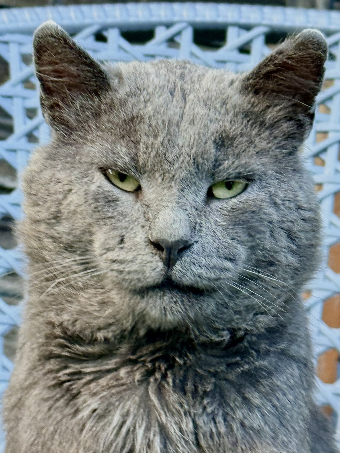 Зверь