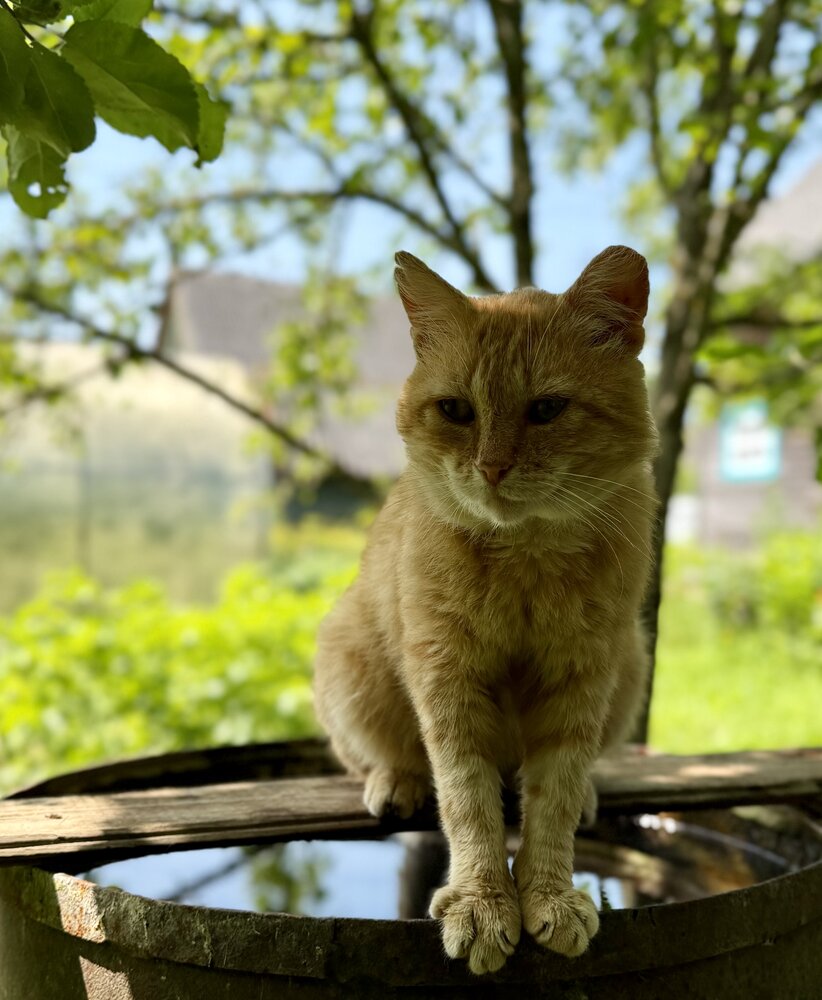 Photograph by Марина Никифорова