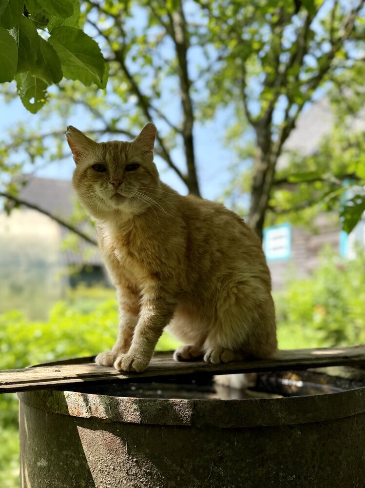 Photograph by Марина Никифорова