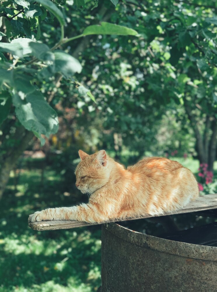 Photograph by Марина Никифорова