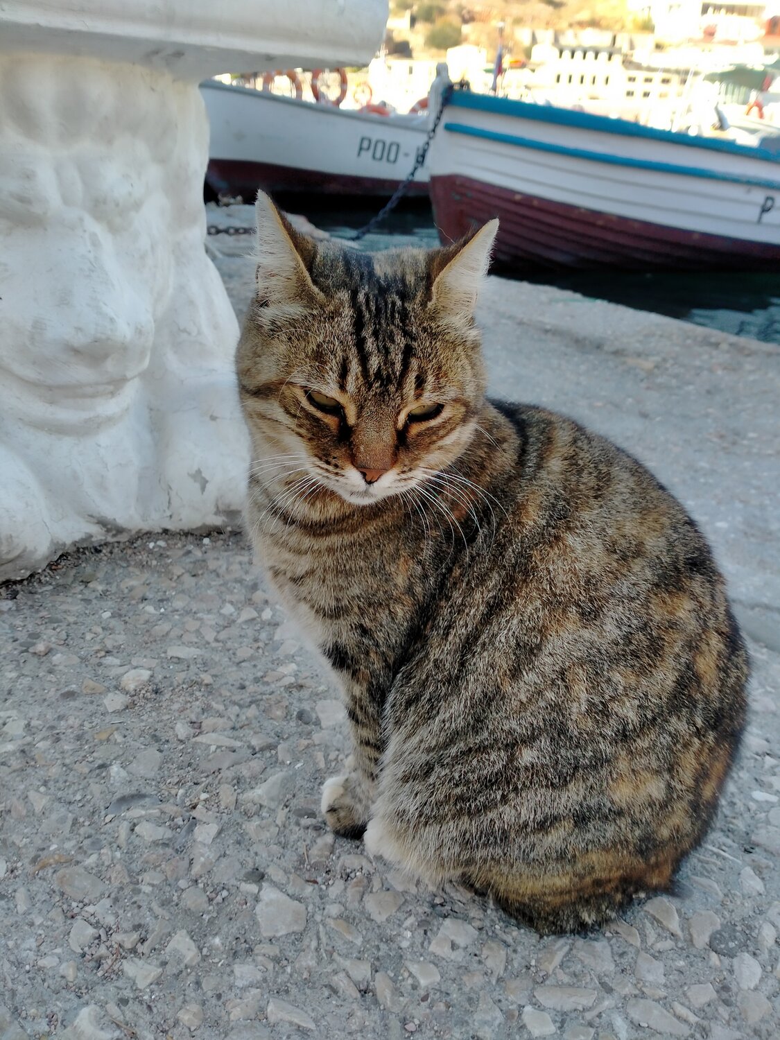 Photo #14061637