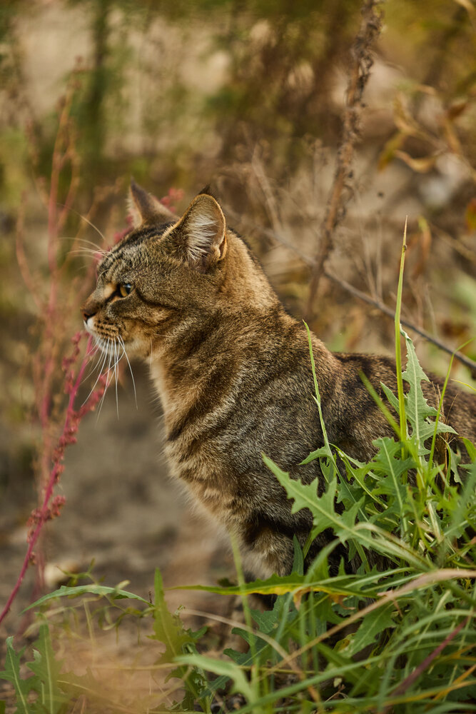 Photograph by Алексей Черников