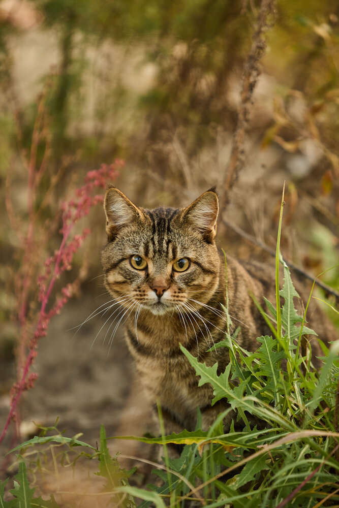 Photograph by Алексей Черников