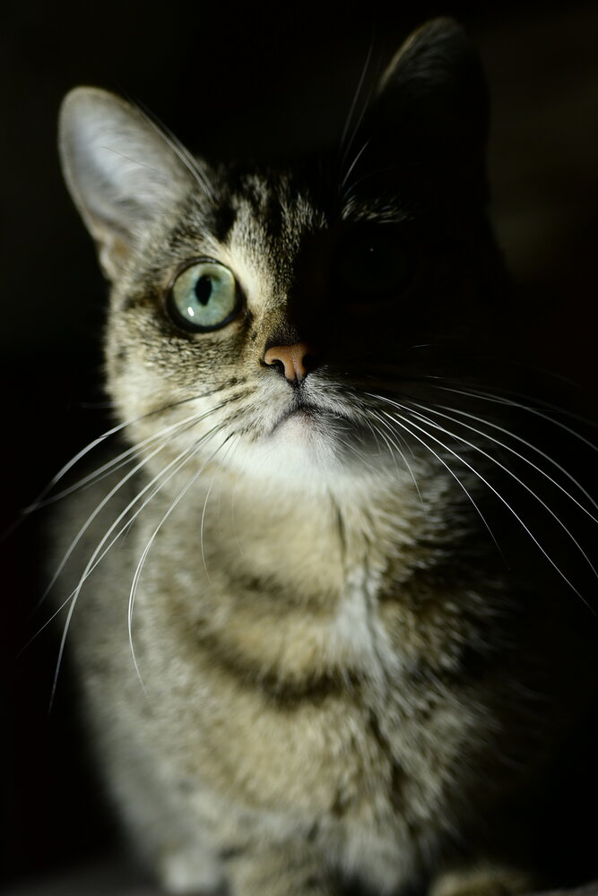 Photograph by Евгений Наймушин