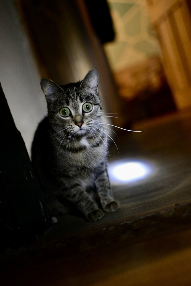 Photograph by Евгений Наймушин