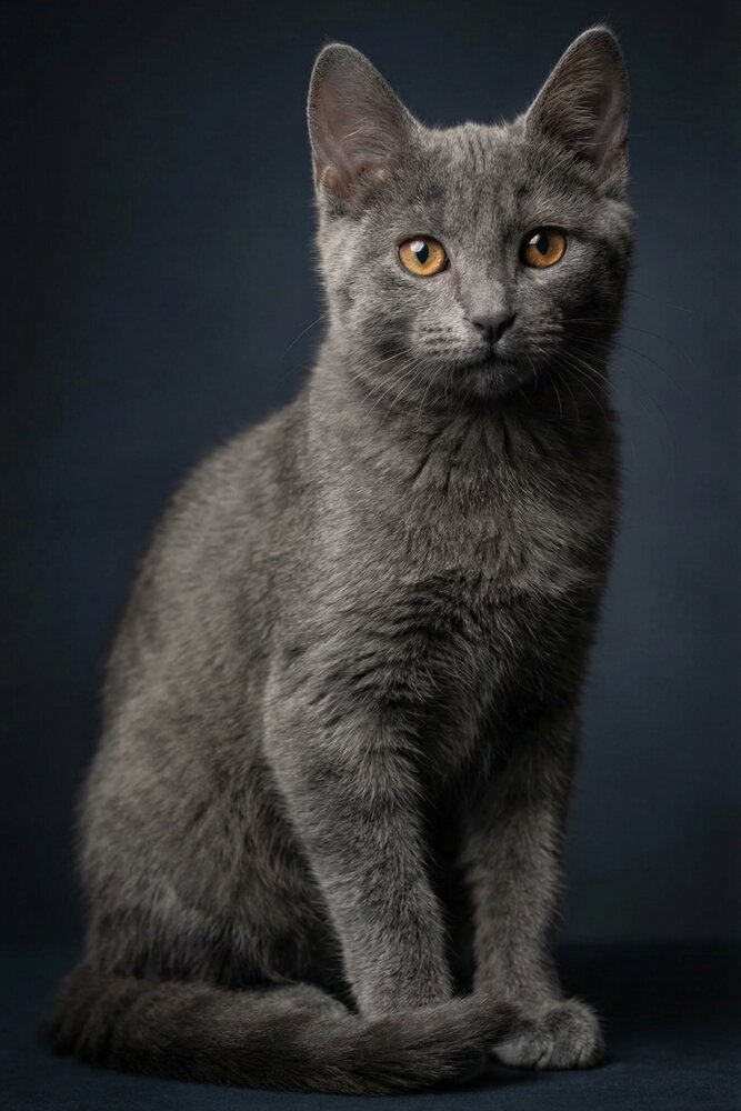 Photograph by Васильев Игорь