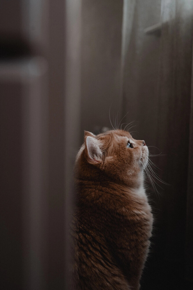 Photograph by Nadin Belova