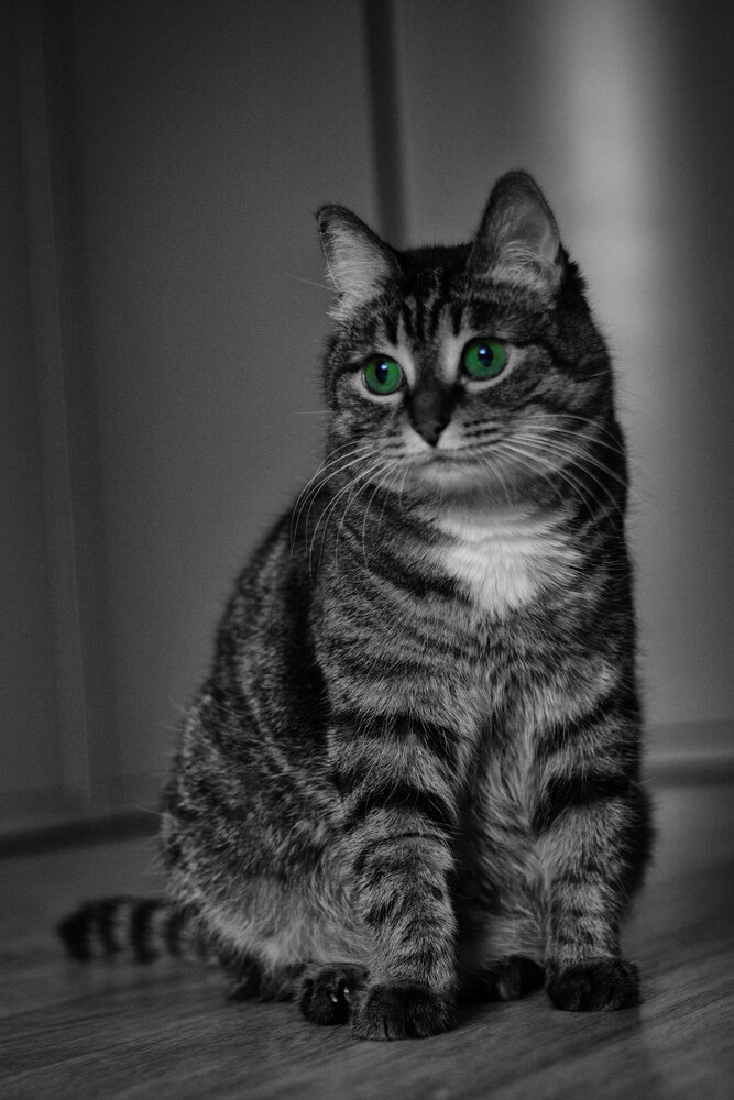Photograph by Марина Ершова